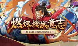 路飞技能爆料视频,视频爆料揭示惊心动魄的战斗力量